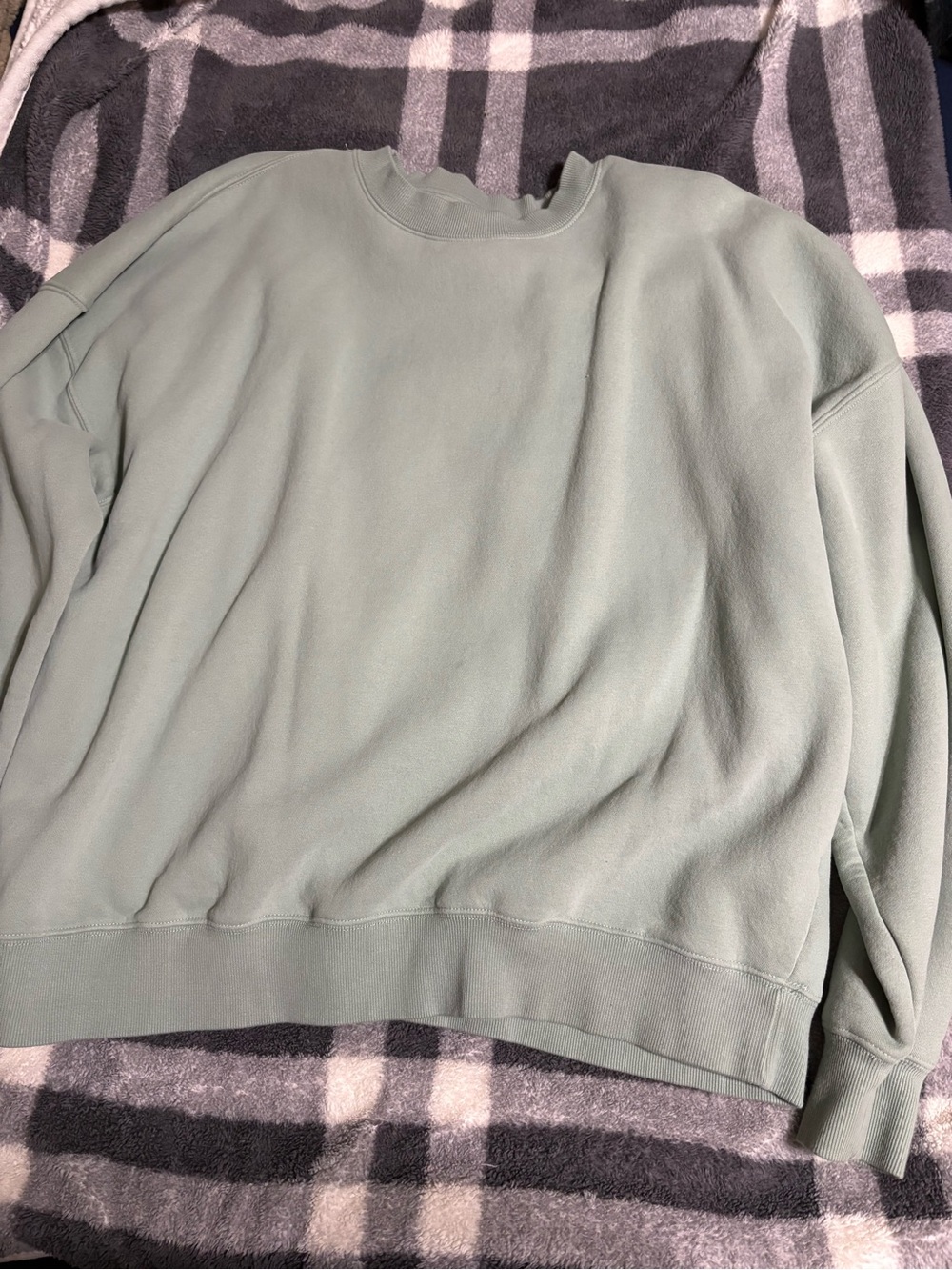 Women’s Classic Crewneck Sweatshirt in Sage Green